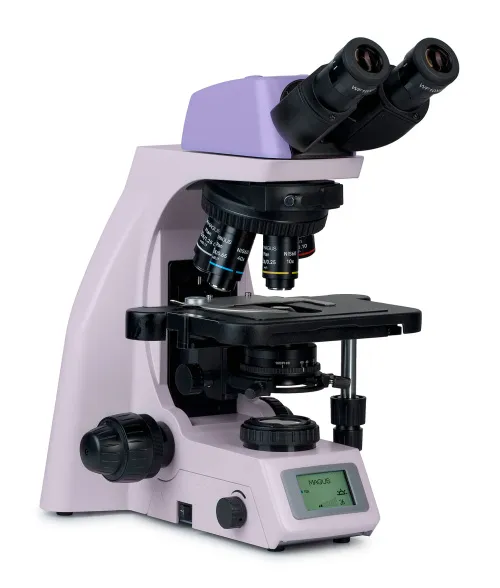 immagine microscopio biologico digitale MAGUS Bio DH260,  2