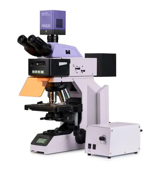 immagine microscopio a fluorescenza digitale MAGUS Lum D470L,  2