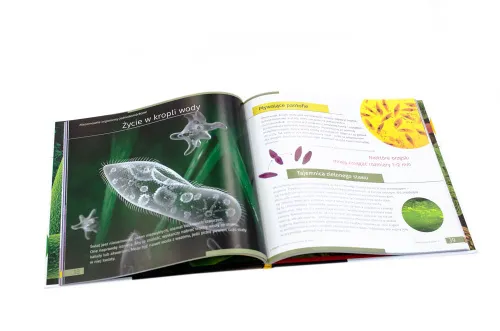 immagine mondo invisibile. Libro educativo. Copertina rigida,  4