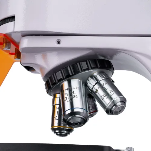 foto microscopio a fluorescenza MAGUS Lum 400L,  8