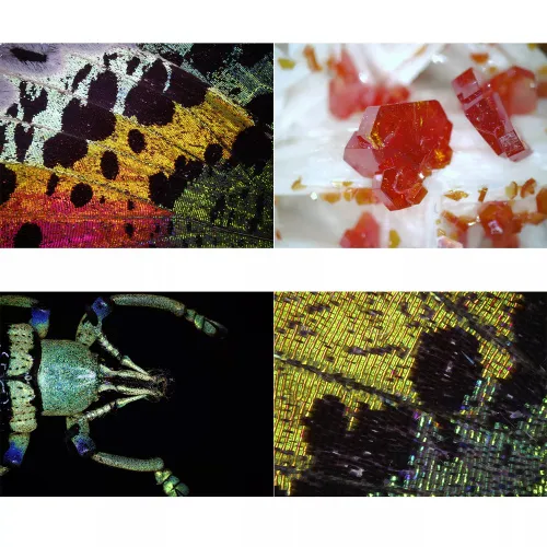 foto microscopio digitale USB Bresser DST1028 ,  4