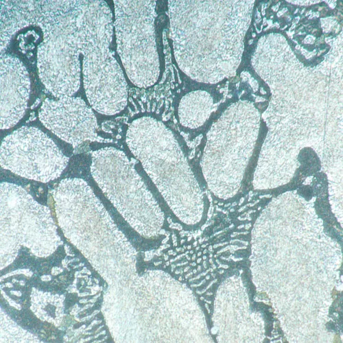 figura microscopio metallografico invertito MAGUS Metal V700,  16