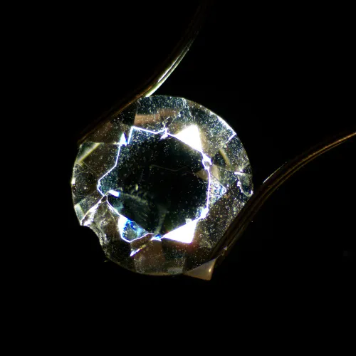 fotografia condensatore per campo scuro MAGUS DFC1 per stereomicroscopi,  7