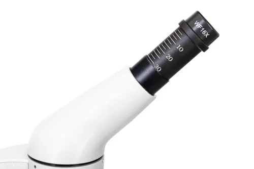 foto microscopio digitale Levenhuk Rainbow D50L PLUS 2M, moonstone,  10