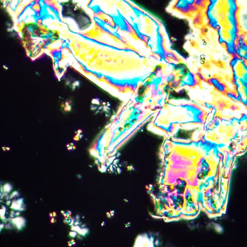 foto microscopio polarizzatore MAGUS Pol 890,  25