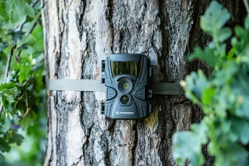 foto bresser fototrappola 60° per l'osservazione della fauna selvatica 5–20 MP ,  10