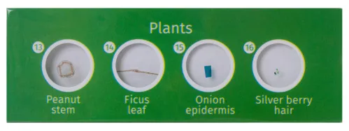 immagine levenhuk LabZZ CP24 Set di vetrini preparati Piante e Animali,  5