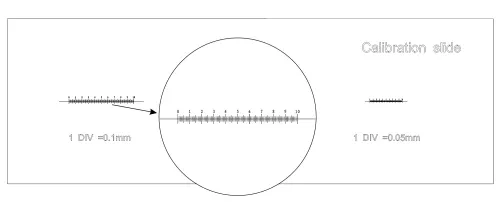 immagine vetrino di calibrazione CS3 MAGUS (0,01/0,05/0,1),  4