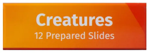 immagine levenhuk LabZZ C12 Set di vetrini preparati Animali,  8