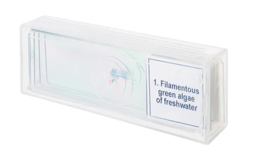 foto set di micropreparati Levenhuk Discovery Prof DPS 5. “Biologia”,  4