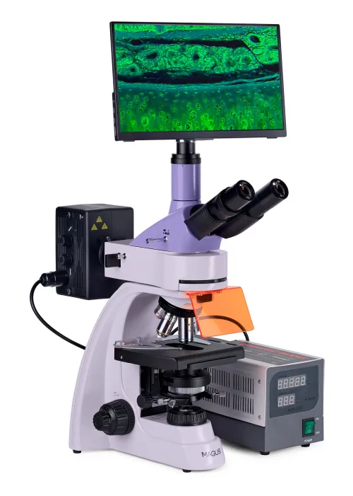immagine microscopio a fluorescenza digitale MAGUS Lum D400 LCD,  4