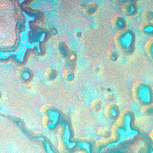 figura microscopio metallografico invertito MAGUS Metal V790 DIC,  20