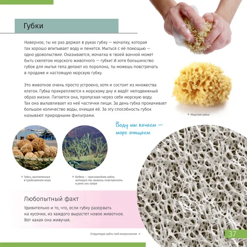 figura mondo invisibile. Libro educativo,  7