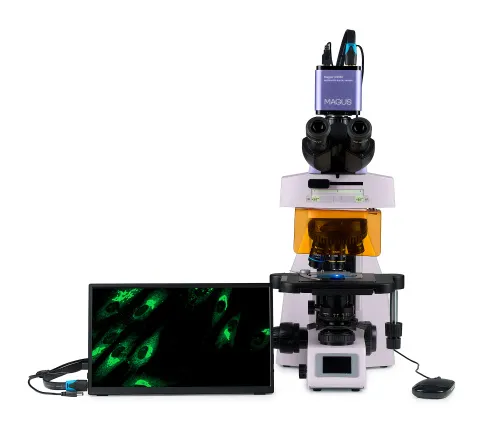 figura microscopio digitale a fluorescenza MAGUS Lum D450L LCD,  9
