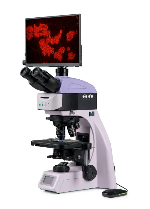 foto microscopio digitale a fluorescenza MAGUS Lum D460L LCD,  2
