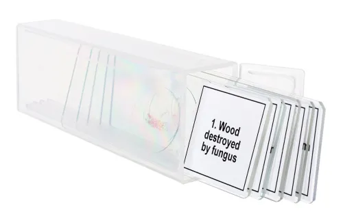 foto set di micropreparati Levenhuk Discovery Prof DPS 5. “Mutazioni”,  5