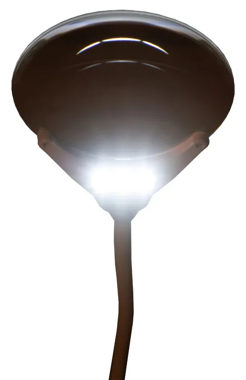 foto lente d’ingrandimento Levenhuk Zeno Lamp ZL13,  10