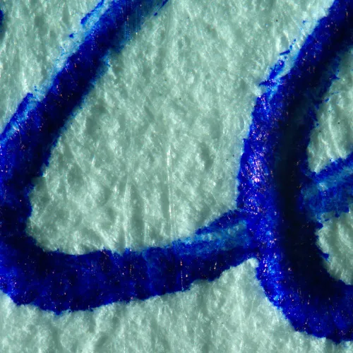 fotografia microscopio stereoscopico MAGUS Stereo A10,  19