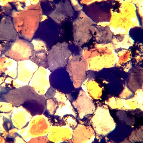 foto microscopio polarizzatore MAGUS Pol 890,  26