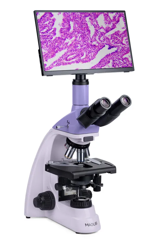 foto microscopio biologico digitale MAGUS Bio D250TL LCD,  4