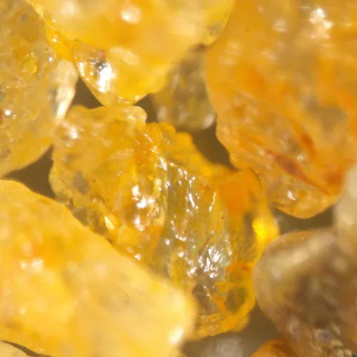 immagine microscopio stereoscopico MAGUS Stereo A18T,  7