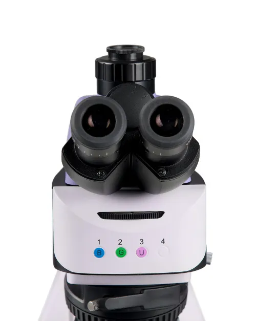 immagine microscopio a fluorescenza MAGUS Lum 460L,  10