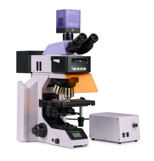 immagine microscopio a fluorescenza digitale MAGUS Lum D470L,  3