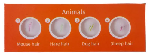 immagine levenhuk LabZZ C12 Set di vetrini preparati Animali,  2