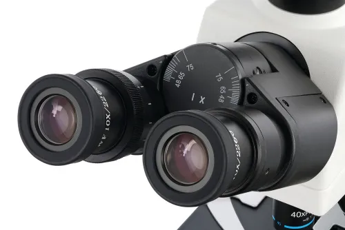 fotografia microscopio trinoculare digitale Levenhuk MED D45T,  8
