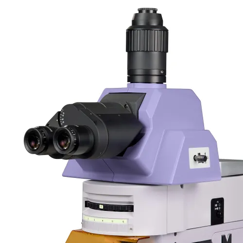 figura microscopio a fluorescenza MAGUS Lum 490L,  9