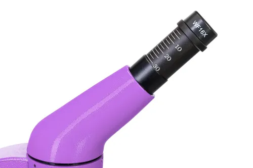 immagine microscopio Levenhuk Rainbow 50L PLUS,  12