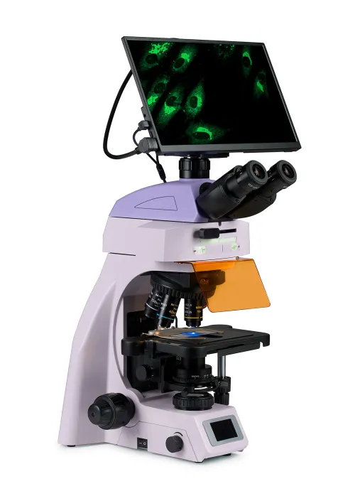 figura microscopio digitale a fluorescenza MAGUS Lum D450L LCD,  3