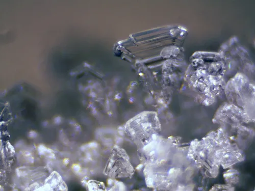 foto stereomicroscopio Bresser Erudit ICD,  12