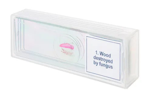 foto set di micropreparati Levenhuk Discovery Prof DPS 5. “Mutazioni”,  4