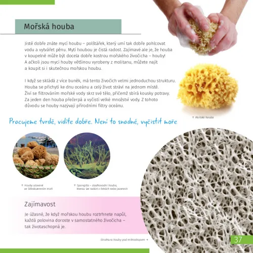 fotografia spazio. Microcosmo. Libro educativo in 2 volumi,  7