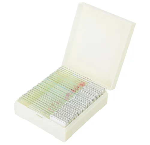 foto set di micropreparati Levenhuk Discovery Prof DPS 25. “Biologia, uccelli, ecc.”,  7