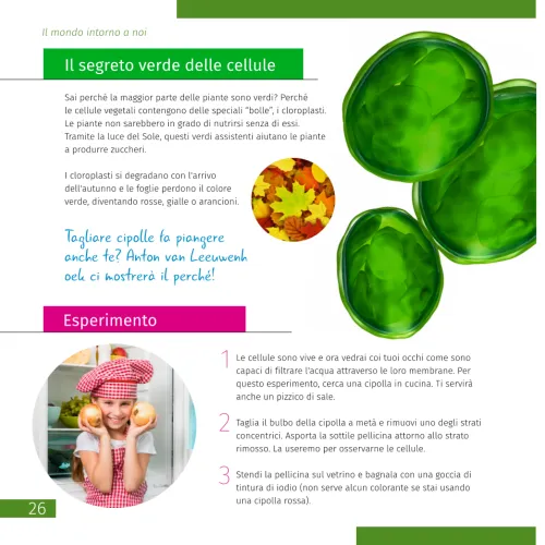 immagine mondo invisibile. Libro educativo. Copertina rigida,  7