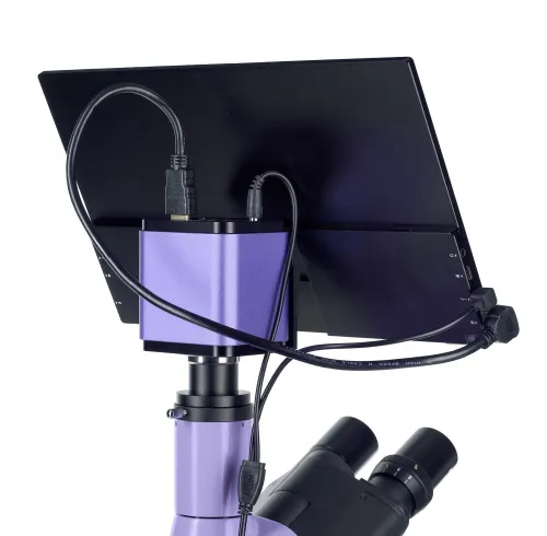 immagine microscopio a fluorescenza digitale MAGUS Lum D400 LCD,  22