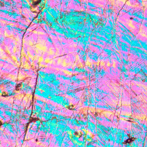 figura microscopio metallografico invertito MAGUS Metal V700 DIC,  16