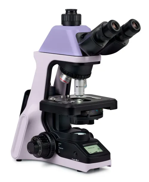 fotografia microscopio biologico MAGUS Bio 240T,  2
