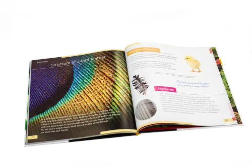 immagine mondo invisibile. Libro educativo. Copertina rigida,  4