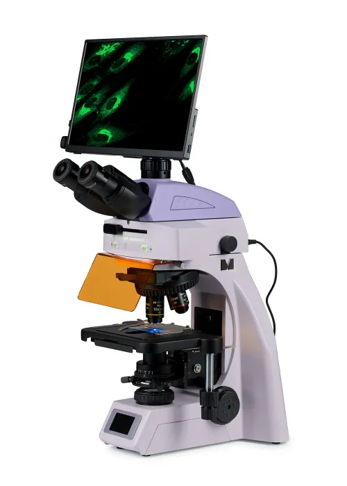 figura microscopio digitale a fluorescenza MAGUS Lum D450L LCD,  2