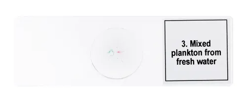 immagine set di micropreparati Levenhuk Discovery Prof DPS 5. “La vita in una goccia d’acqua”,  7