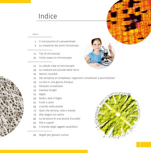 figura mondo invisibile. Libro educativo,  7