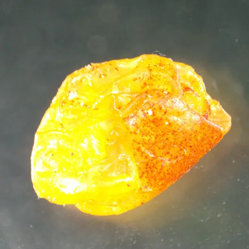 figura microscopio stereoscopico MAGUS Stereo A8,  15