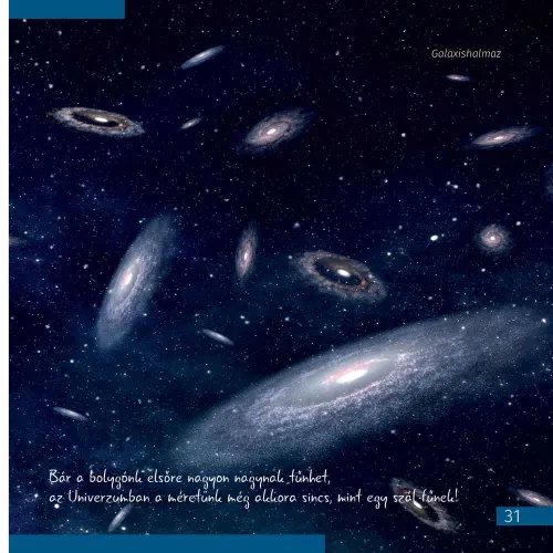 fotografia spazio. Microcosmo. Libro educativo in 2 volumi,  6