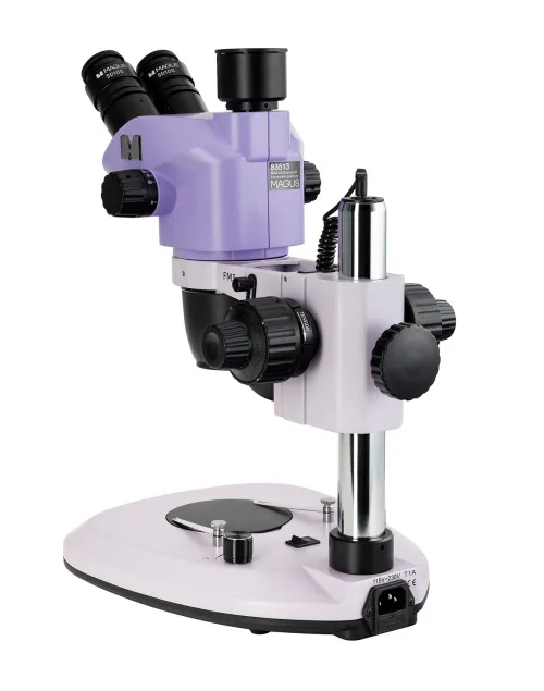 immagine microscopio stereoscopico MAGUS Stereo 8T,  3