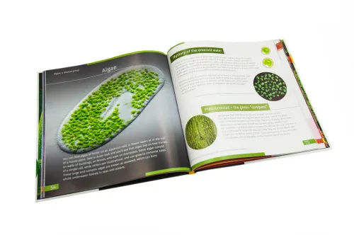 immagine mondo invisibile. Libro educativo. Copertina rigida,  3