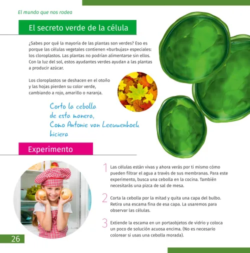 figura mondo invisibile. Libro educativo,  3