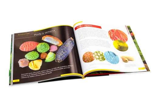 immagine mondo invisibile. Libro educativo. Copertina rigida,  10